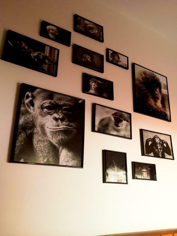 The Mellow Monkey Hostel Zadar Dış mekan fotoğraf